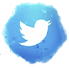 Tweeter Icon